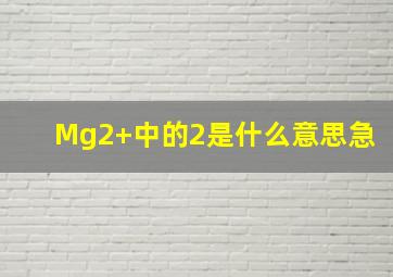 Mg2+中的2是什么意思(急(