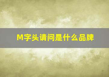 M字头请问是什么品牌