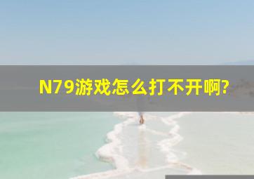 N79游戏怎么打不开啊?