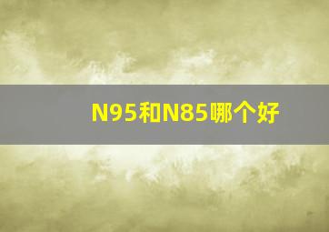 N95和N85哪个好