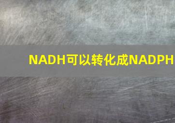 NADH可以转化成NADPH吗