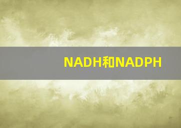 NADH和NADPH