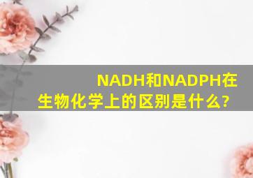 NADH和NADPH在生物化学上的区别是什么?