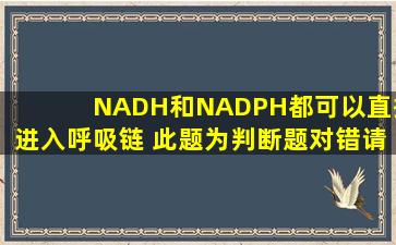 NADH和NADPH都可以直接进入呼吸链。( )此题为判断题(对,错)。请...