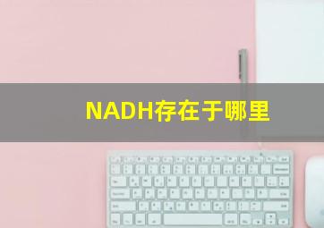 NADH存在于哪里(