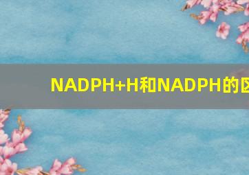 NADPH+H和NADPH的区别
