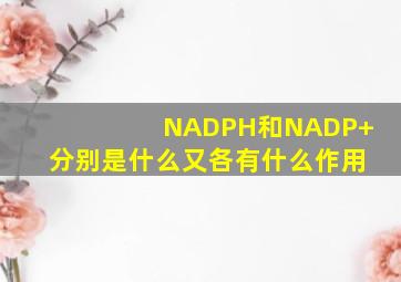 NADPH和NADP+分别是什么,又各有什么作用