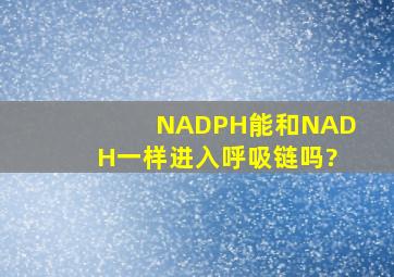 NADPH能和NADH一样进入呼吸链吗?