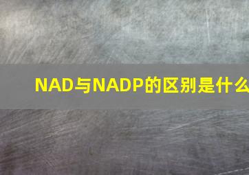 NAD与NADP的区别是什么?