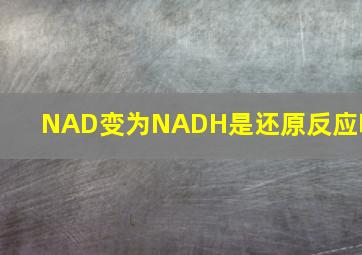 NAD变为NADH是还原反应吗