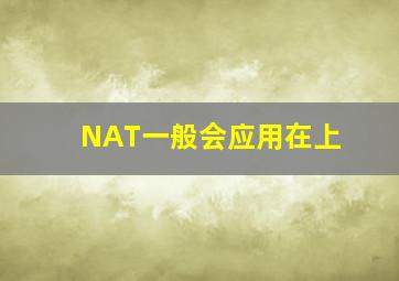 NAT一般会应用在()上。