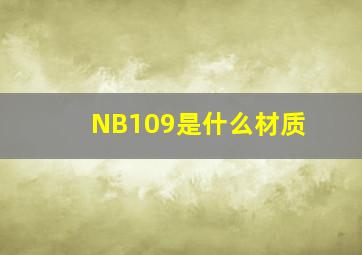 NB109是什么材质