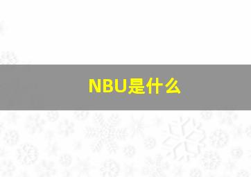 NBU是什么(