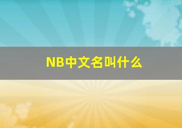 NB中文名叫什么