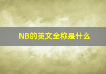 NB的英文全称是什么((