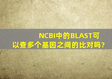 NCBI中的BLAST可以查多个基因之间的比对吗?