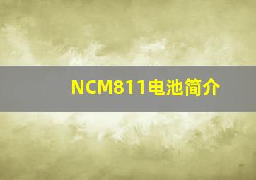 NCM811电池简介