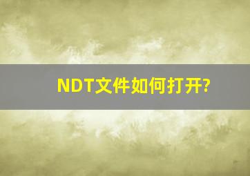 NDT文件如何打开?