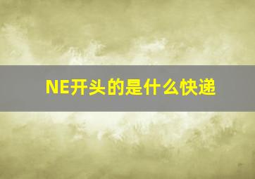 NE开头的是什么快递