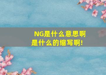 NG是什么意思啊,是什么的缩写啊!