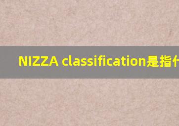 NIZZA classification是指什么