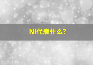 NI代表什么?