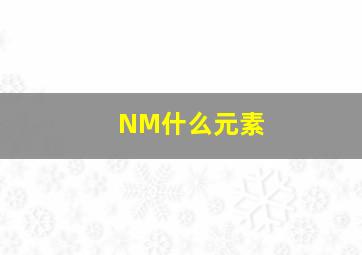 NM什么元素(