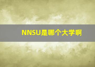 NNSU是哪个大学啊