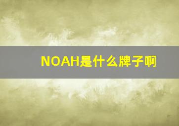 NOAH是什么牌子啊