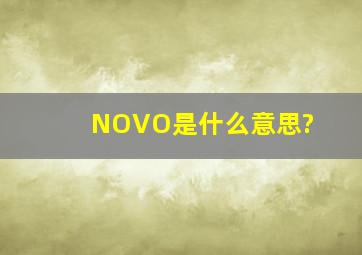 NOVO是什么意思?