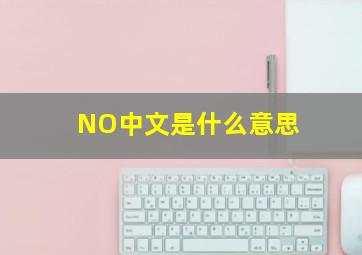 NO中文是什么意思