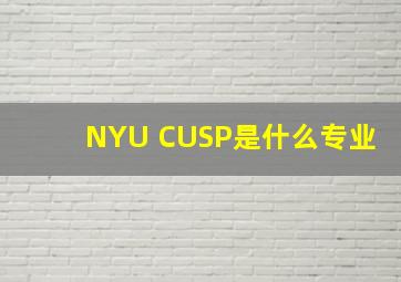 NYU CUSP是什么专业