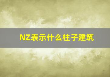 NZ表示什么柱子(建筑)