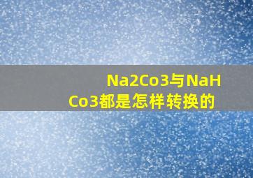 Na2Co3与NaHCo3都是怎样转换的