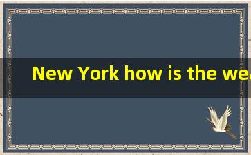 New York how is the weather like today怎么读