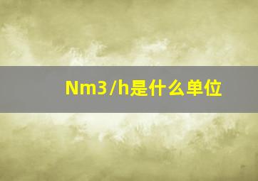 Nm3/h是什么单位