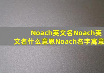 Noach英文名Noach英文名什么意思Noach名字寓意