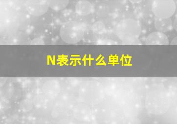 N表示什么单位