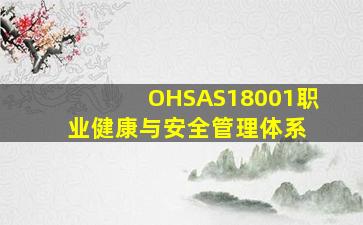 OHSAS18001职业健康与安全管理体系 