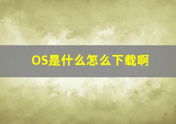 OS是什么怎么下载啊