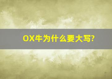 OX牛为什么要大写?