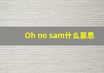 Oh no sam什么意思