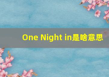 One Night in是啥意思