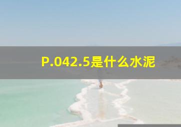 P.042.5是什么水泥