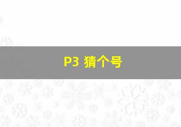 P3 猜个号