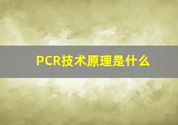 PCR技术原理是什么(