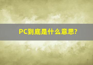 PC到底是什么意思?