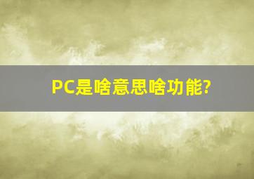 PC是啥意思,啥功能?