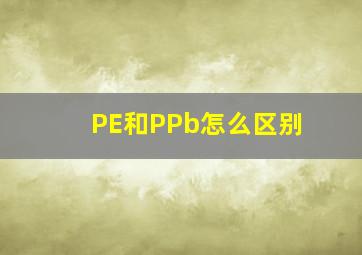 PE和PPb怎么区别