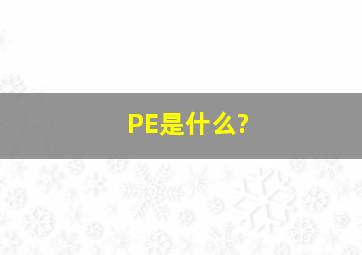PE是什么?